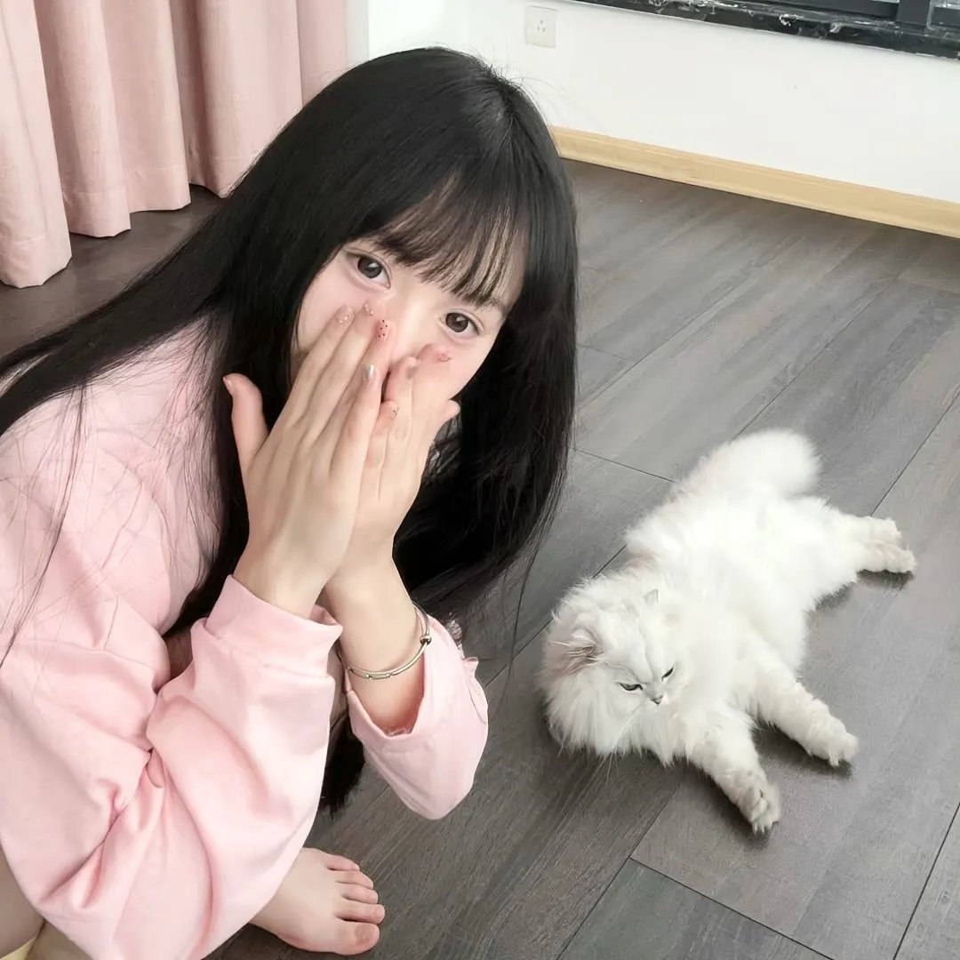 识骨寻踪第四季